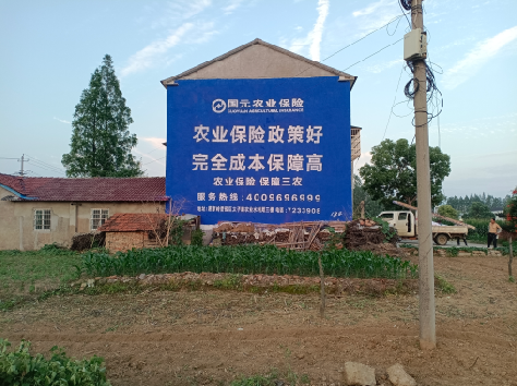 信阳墙体广告为何受追捧？